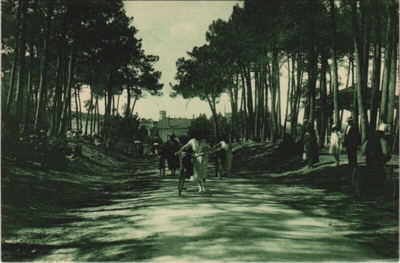 Carte postale ancienne Ile d'Oleron-Saint-Trojan-les Bains-L'Avenue de la Plage à Saint-Trojan-les-Bains