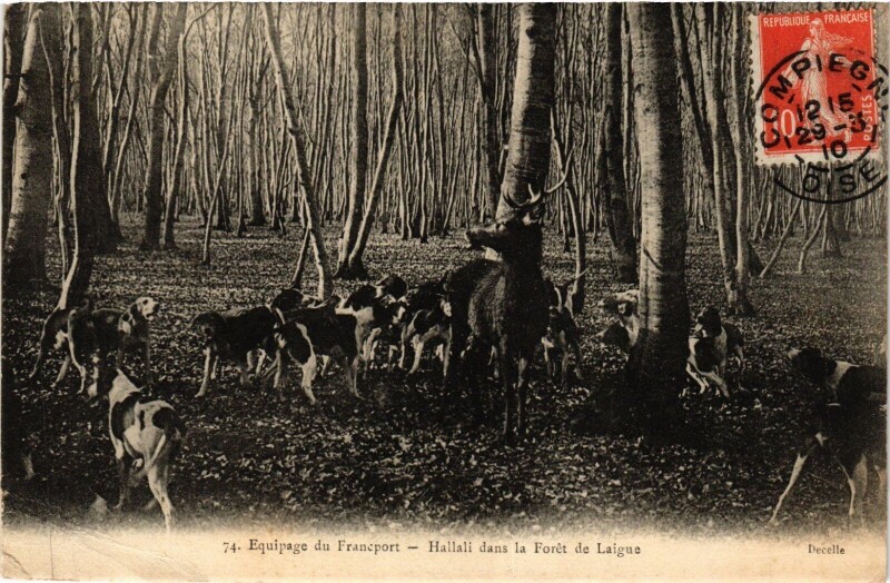 Carte postale ancienne Equipage du Francport Hallali dans la Foret France