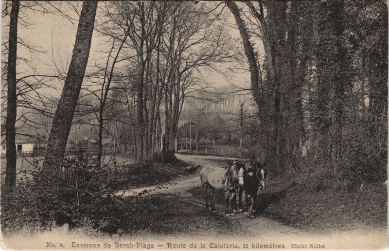 Carte postale ancienne Environs de Berck-Plage-Route de la Caloterie à Berck