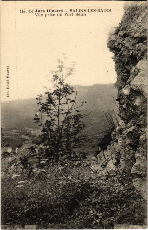 Carte postale ancienne Salins les Bains- vue prise du Fort Belin France à Salins-les-Bains