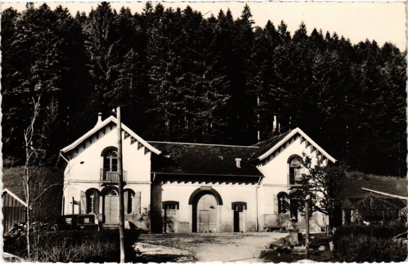 Carte postale ancienne Chevreul- Foret de la Joux France