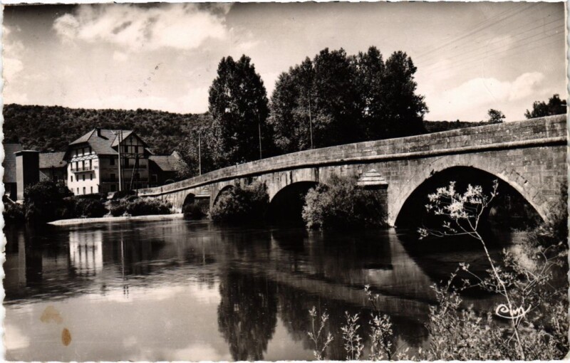 Carte postale ancienne Pont du Navoy,Pont sur l'Ain et Hotel du Cerf France à Pont-du-Navoy