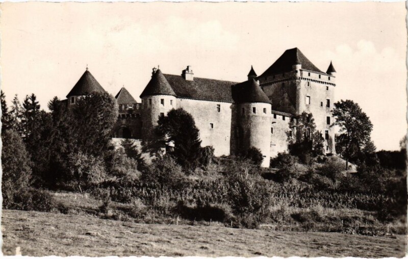 Carte postale ancienne Le Chateau du Pin France