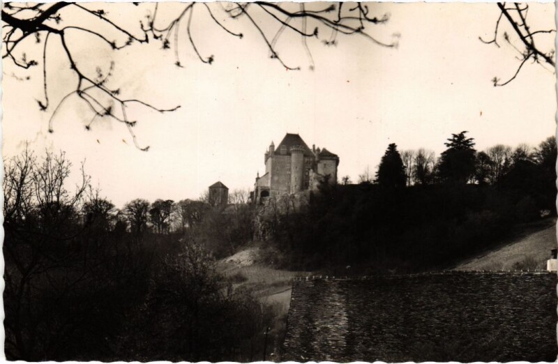 Carte postale ancienne Vue sur le Chateau de Frontenay France à Frontenay
