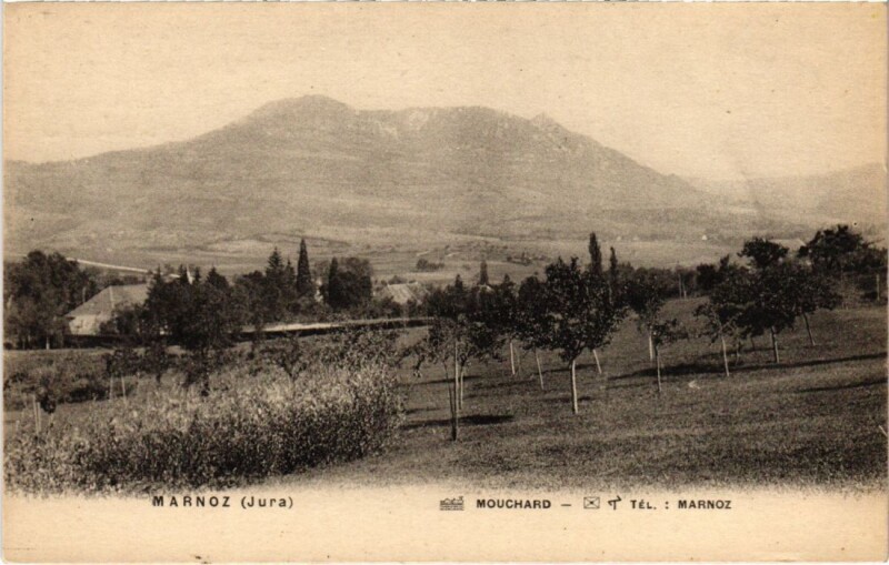 Carte postale ancienne Marnoz France à Marnoz