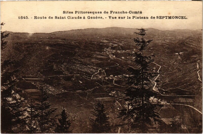 Carte postale ancienne Route de Saint Claude a Geneve France à Saint-Claude