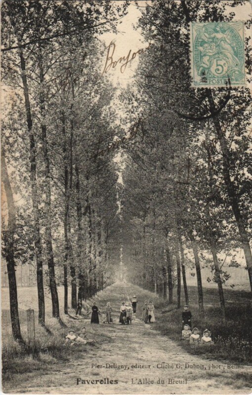 Carte postale ancienne Faverolles - L'Allee du Breuil à Faverolles