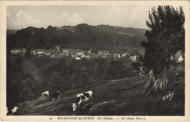 Carte postale ancienne Rochefort-en-Terre - Le Vieux Bourg à Rochefort-en-Terre