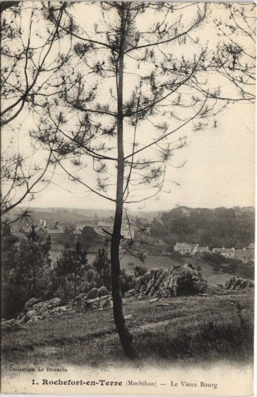 Carte postale ancienne Rochefort-en-Terre - Le Vieux Bourg à Rochefort-en-Terre