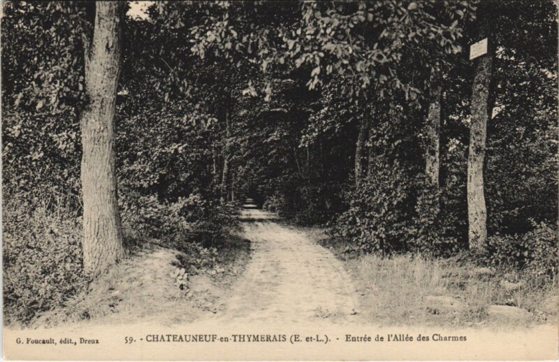 Carte postale ancienne Chateauneuf en Thymerais - Entrée de l'Allée des Charmes à Châteauneuf-en-Thymerais