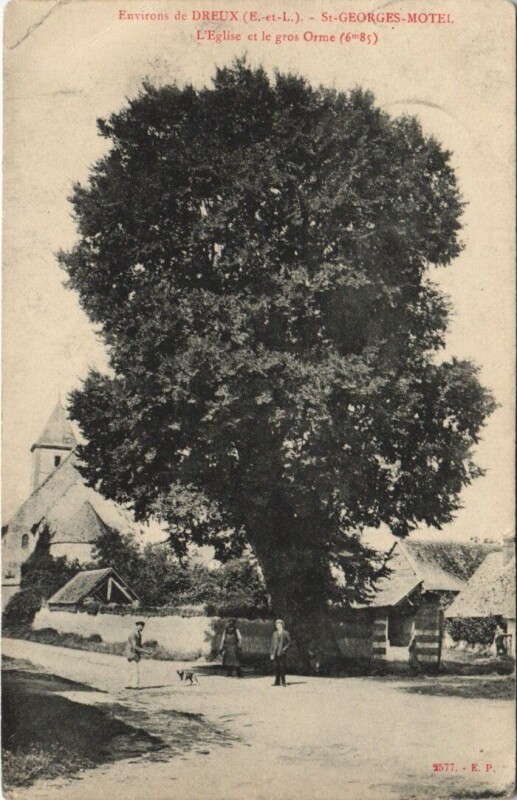 Carte postale ancienne Environs de Dreux - Saint-Georges-Motel - L'Eglise et le à Dreux