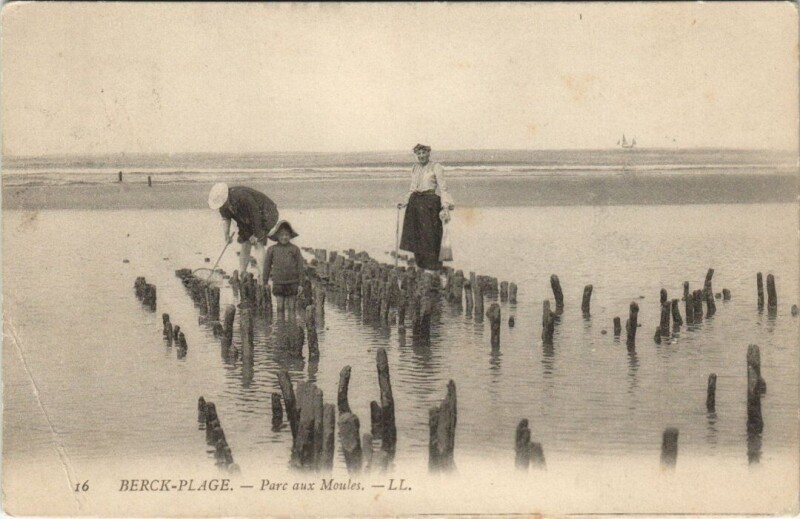 Carte postale ancienne Berck-Plage - Parc aux Muoles à Berck