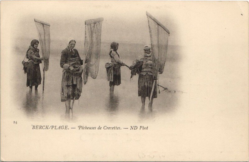 Carte postale ancienne Berck-Plage - Pecheuses de Crevettes à Berck
