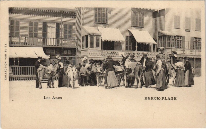 Carte postale ancienne Berck-Plage - Les Anes à Berck