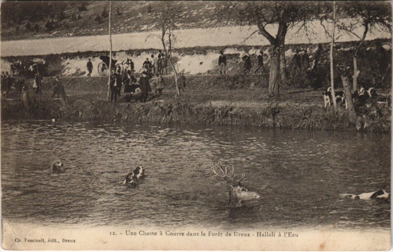 Carte postale ancienne Dreux - Hallali a l'Eau à Dreux