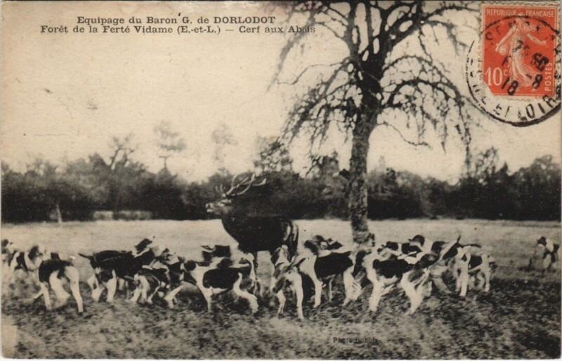 Carte postale ancienne Foret de La Ferte-Vidame-Cerf aux Abois