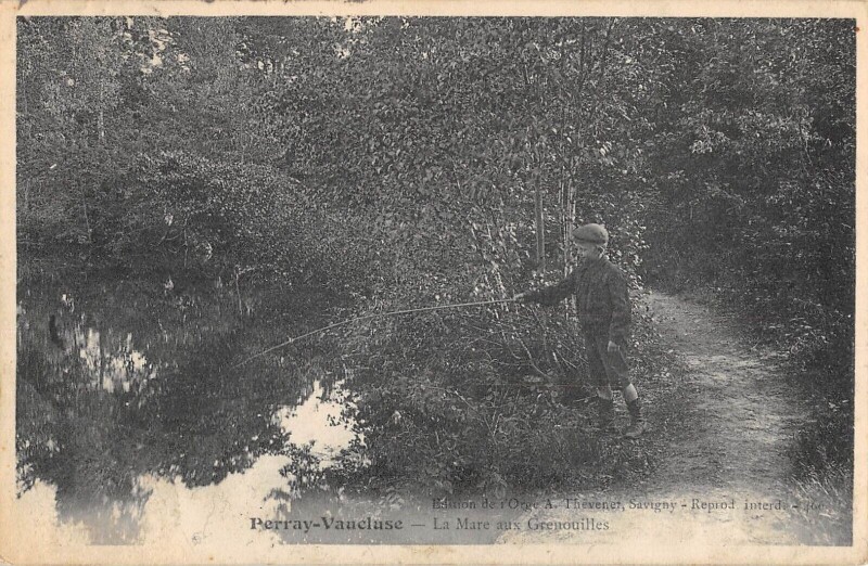 Carte postale ancienne Perray Vaucluse La Mare Aux Grenouilles