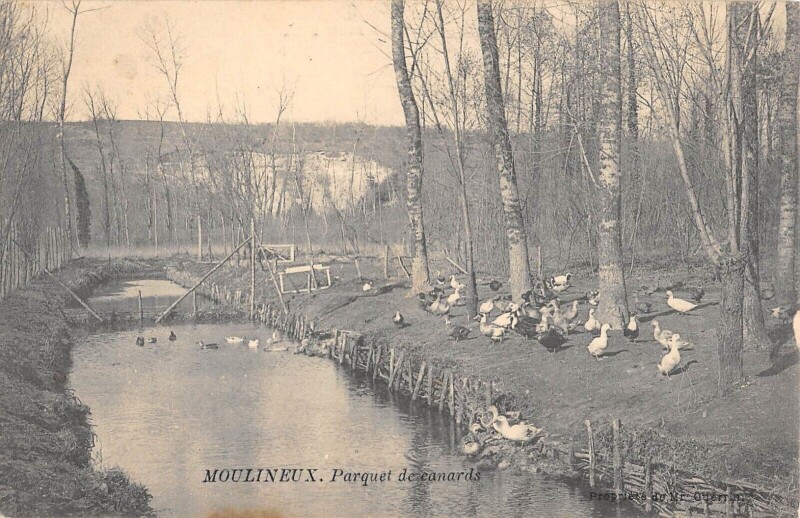 Carte postale ancienne Moulineux Parquet De Canards