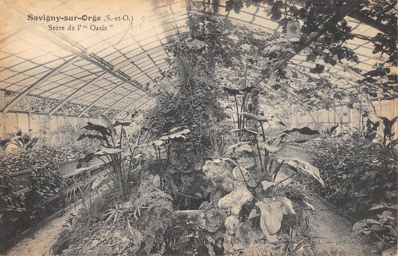 Carte postale ancienne Savigny Sur Orge Serre De L'Oasis à Savigny-sur-Orge