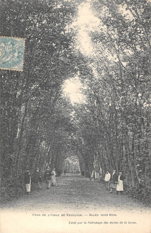 Carte postale ancienne Parc De L'Asile De Vaucluse Allee Sous Bois