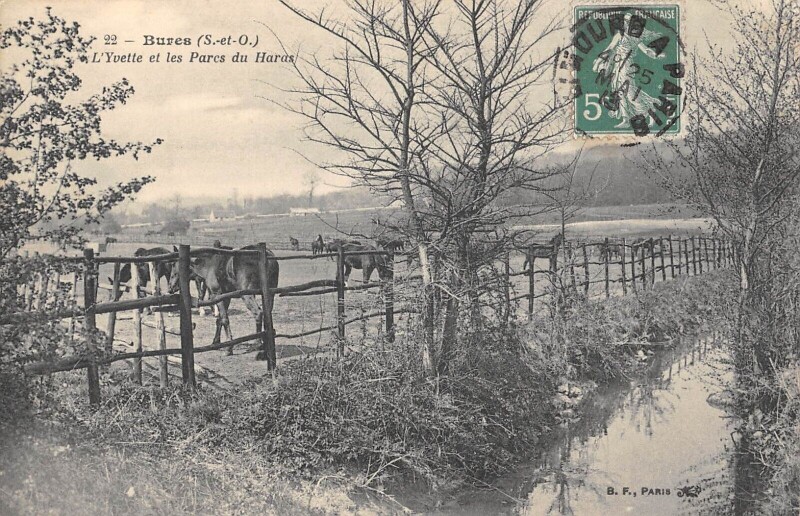 Carte postale ancienne Bures L'Yvette Et Les Parcs Du Haras