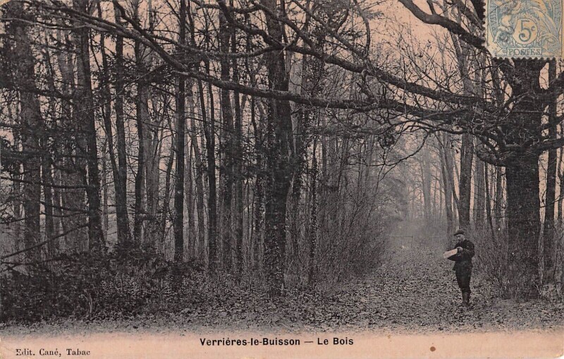 Carte postale ancienne Verrieres Le Buisson Le Bois - Cpa Email