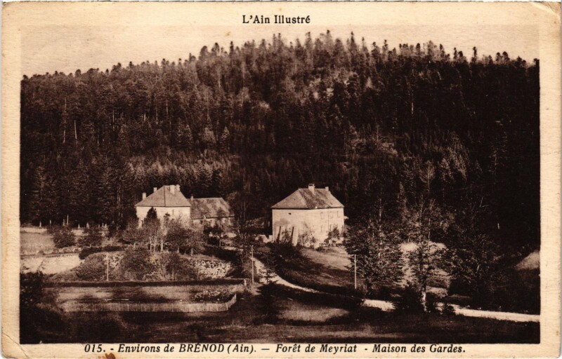 Carte postale ancienne Environs de Brenod