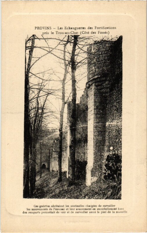 Carte postale ancienne Provins Les Echauguettes des Fortifications à Provins