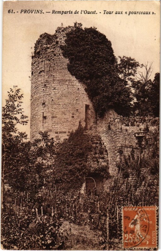 Carte postale ancienne Provins Tour aux pourceaux à Provins