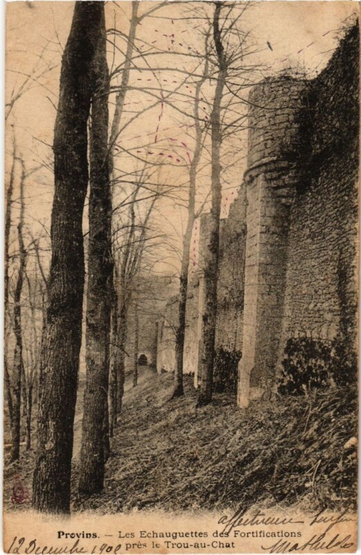 Carte postale ancienne Provins Les Echauguettes des Fortifications à Provins