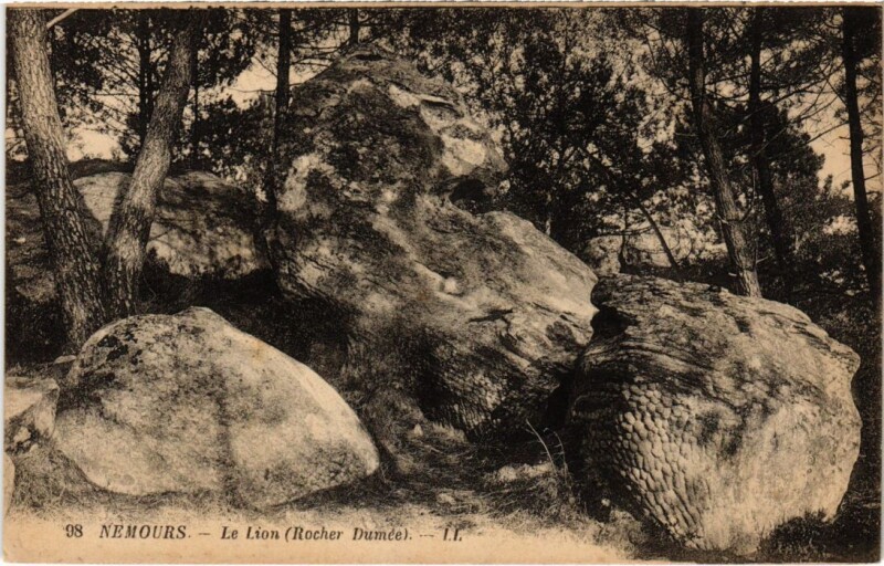 Carte postale ancienne Nemours Le Lion (Rocher Dumee) à Nemours