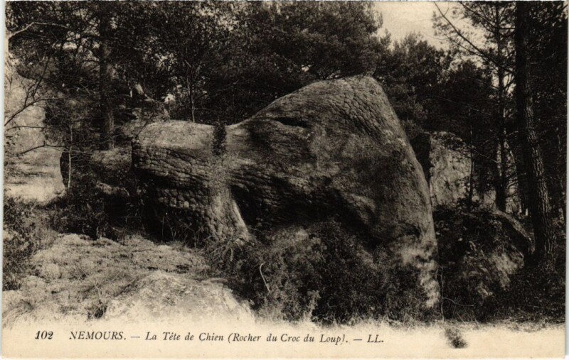 Carte postale ancienne Nemours La Tete de Chien à Nemours