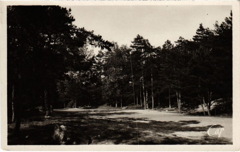 Carte postale ancienne Nemours La Sabliere à Nemours