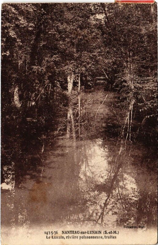 Carte postale ancienne Nanteau-sur-Lunain Le Lunain - Riviere Poissonneuse - Truites à Nanteau-sur-Lunain