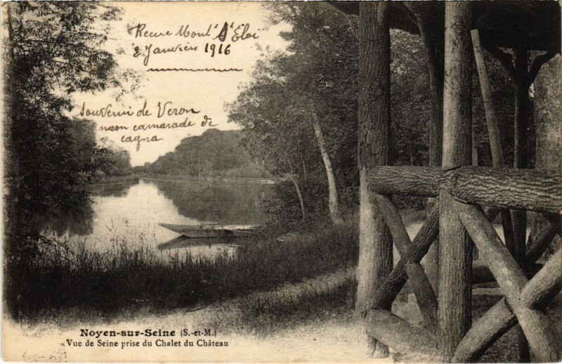 Carte postale ancienne Noyen-sur-Seine Vue de Seine prise du Chalet du Chateau à Noyen-sur-Seine