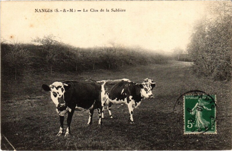 Carte postale ancienne Nangis Le Clos de la Sabliere à Nangis