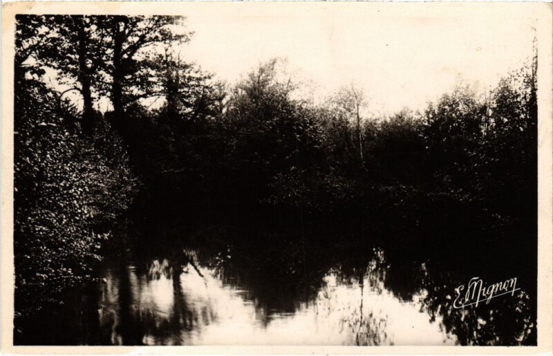 Carte postale ancienne Jouy-sur-Morin Un Coin des Gailles à Jouy-sur-Morin
