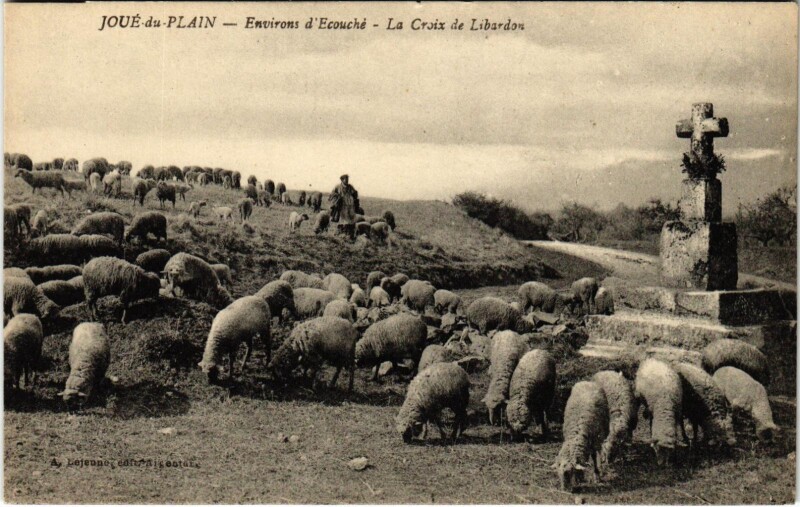 Carte postale ancienne Joue du Plain - Environs d'Ecouche La Croix de Libardos à Joué-du-Plain