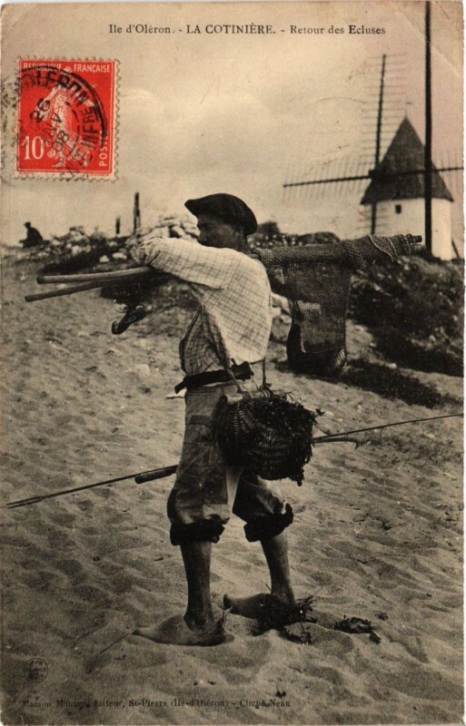 Carte postale ancienne Ile d'Oleron - La Cotiniere - Retour des Ecluses