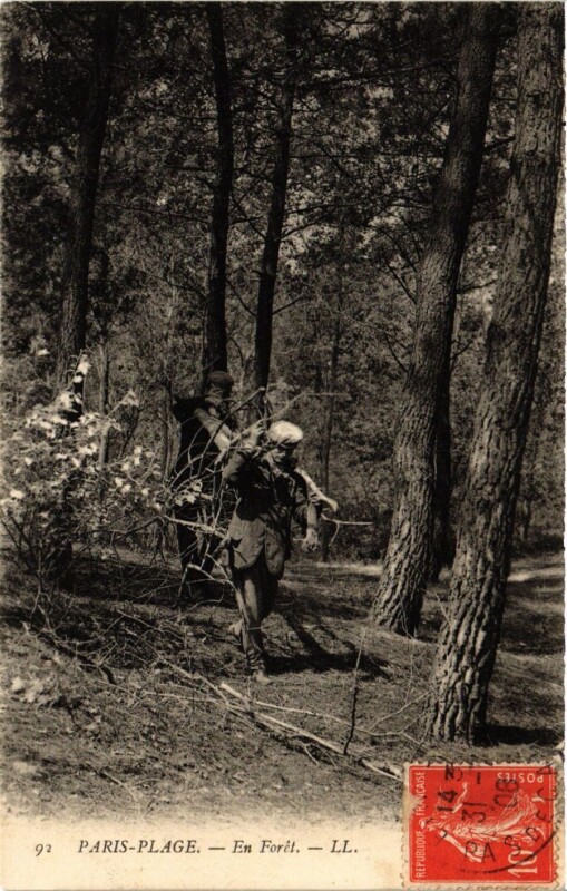 Carte postale ancienne Paris-Plage - En Foret