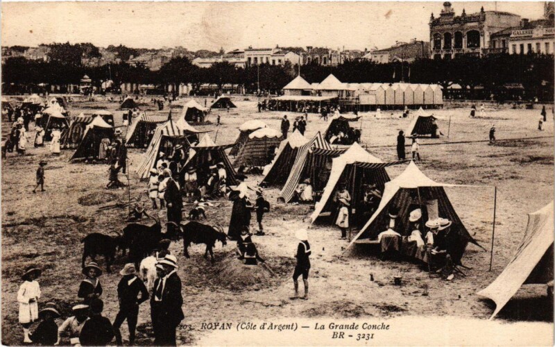 Carte postale ancienne Royan (Coté d'Argent) - La Grande Conche à Royan