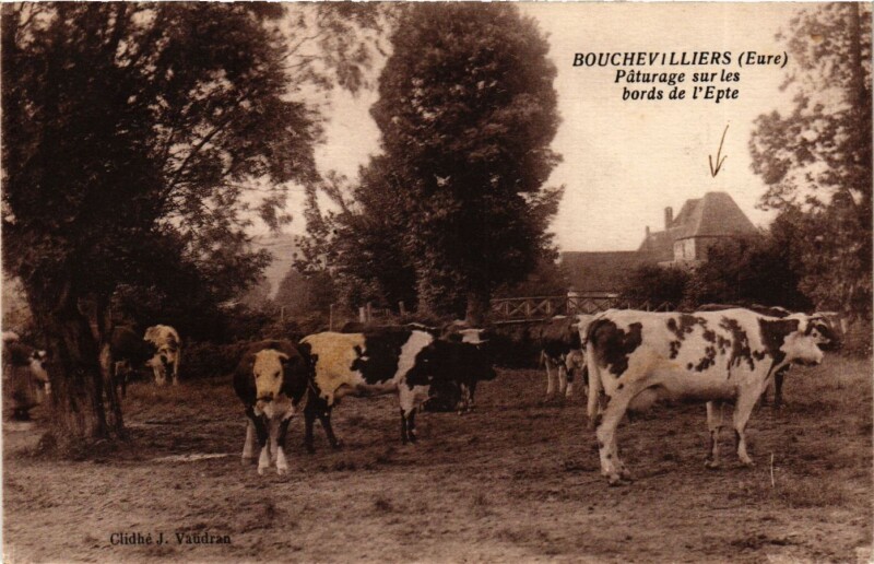 Carte postale ancienne Bouchevilliers - Paturage sur les bords de l'Epte à Bouchevilliers