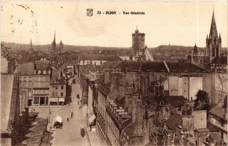 Carte postale ancienne Bourgogne Cote-d'Or Vue générale