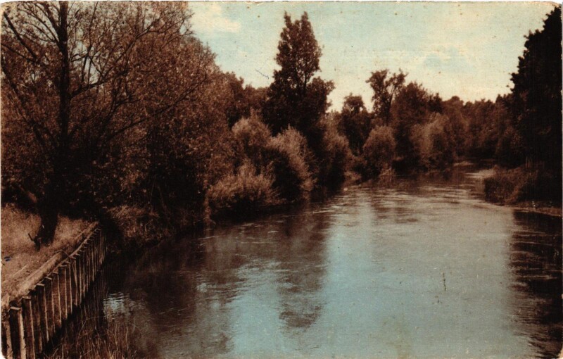 Carte postale ancienne Saint Lye- Bords du Seine France