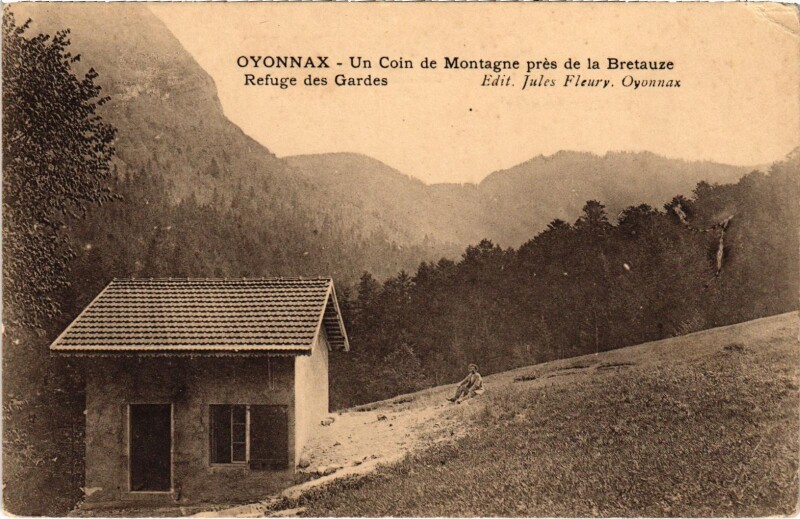 Carte postale ancienne Oyonnax - Un Coin de Montagne à Oyonnax