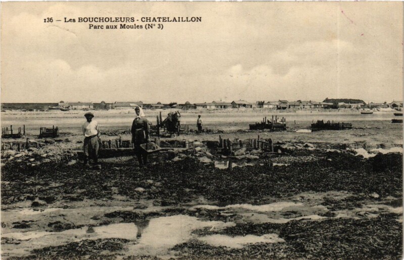Carte postale ancienne Les Boucholeurs - Chatelaillon - Parc aux Moules