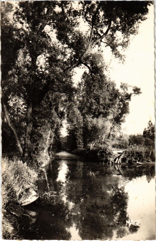 Carte postale ancienne Compiegne - Foret de Compiegne - Vivier des Freres Robert à Compiègne