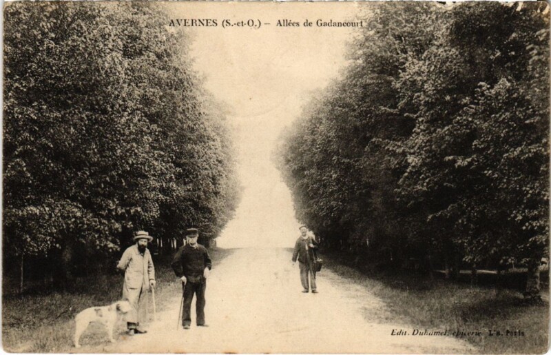 Carte postale ancienne Avernes - Allees de Gadaneou à Avernes