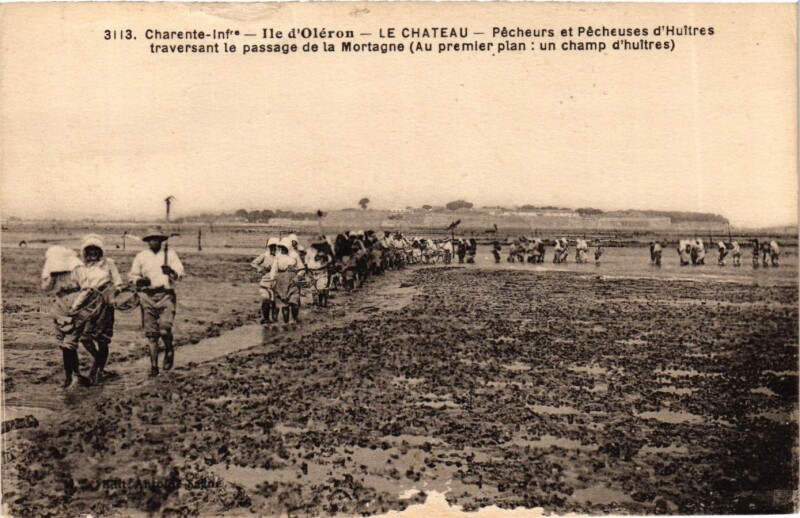 Carte postale ancienne Charente-inf. - Ile d'Oleron - Le Chateau - Pécheurs et Pécheuses