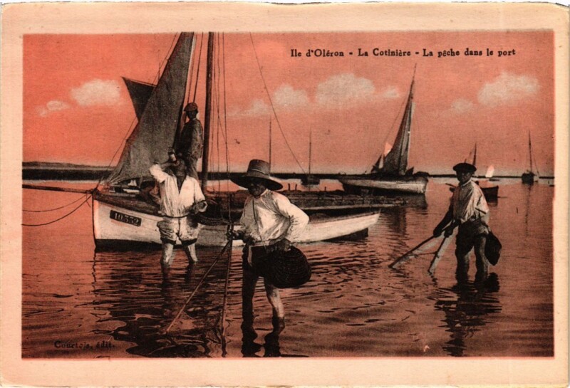 Carte postale ancienne Ile d'Oleron - La Cotiniere - La Péche dans le port